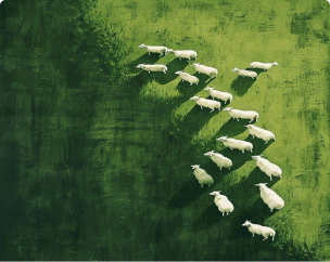 Sheep flock aerial artwork