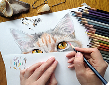 Paint Your Pet
